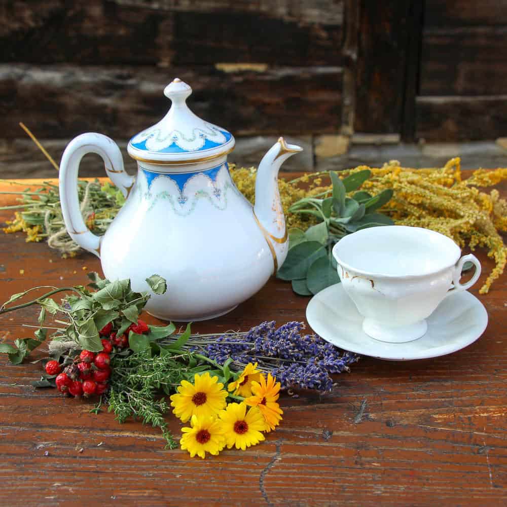 Teeseminar Freilandmuseum Lehde Foto_ Museum OSL/ Linke