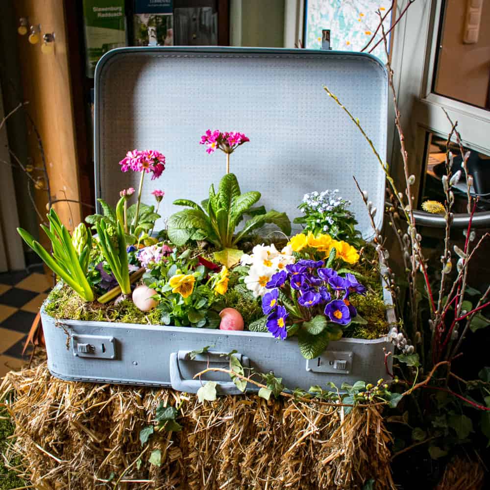 IMG_2434 Frühlingsblumen Ostereiermesse Lübbennau Foto- Museum OSL_