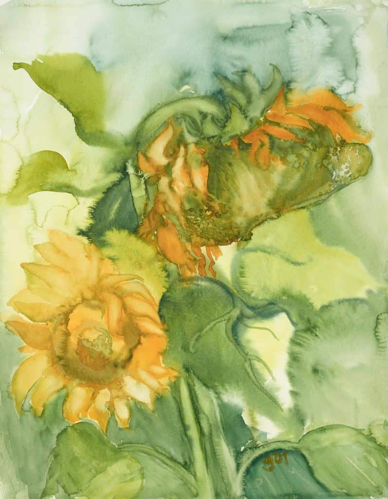 Horst Jurtz (1934) -SONNENBLUME I-2001, Aquarell, 73x55-Erworben 2014 vom Künstler Foto Sven Claus